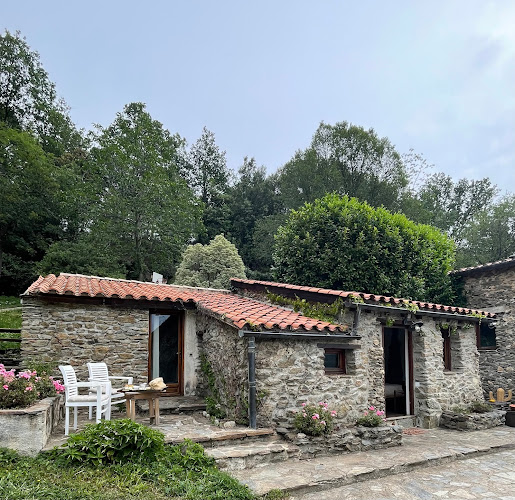Domaine Les Mas de Can Noy à Montferrer