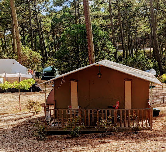 Camping Municipal La Grigne à Le Porge