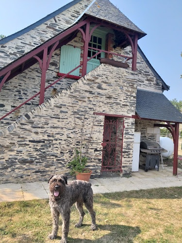 Gîte De La Petite Verrière à Saint-Barthélemy-d'Anjou