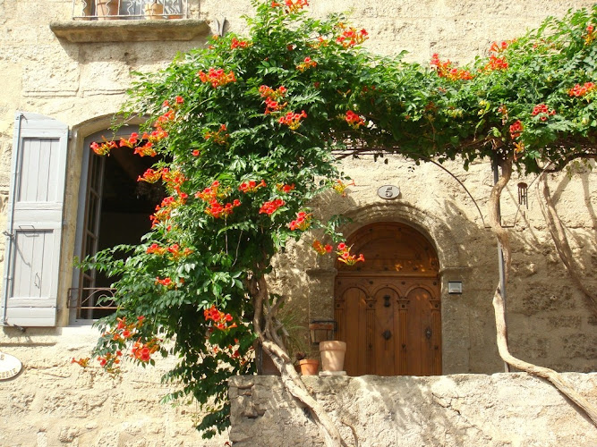 O'taste 9854-2518 à Pézenas