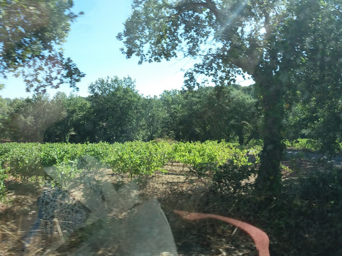 Clos Saint Clément à La Garde-Freinet