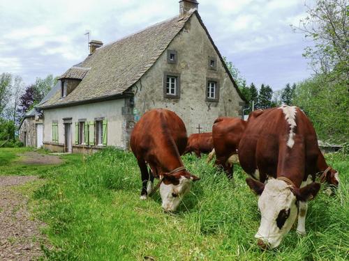 Le gîte de la Chaleille à TAUVES
