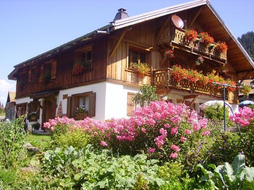 L'Anémone à Les Contamines-Montjoie