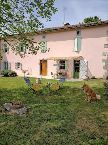 La Salamandre de l Escat à Montastruc-de-Salies