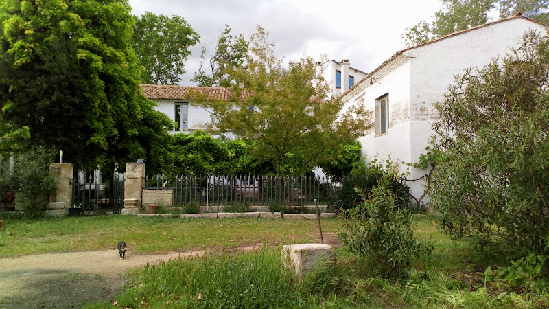 Mas Grand Argence