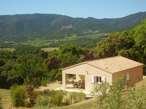 L'oliveraie 2 à Sollacaro