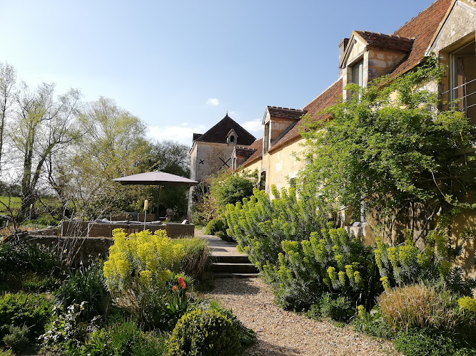 Reiki - Soins énergétiques à La Chapelle-Montligeon