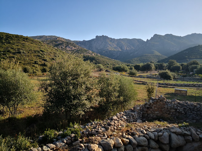 Urtaca à Urtaca