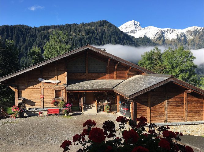 Chalet Les Neiges Eternelles à Chtel