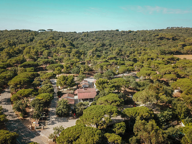 Camping Ladouceur à Ramatuelle