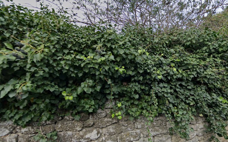 Gisfort à Uzès