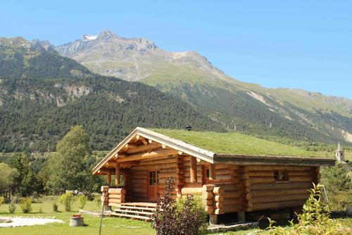 Bouquetins à Val Cenis