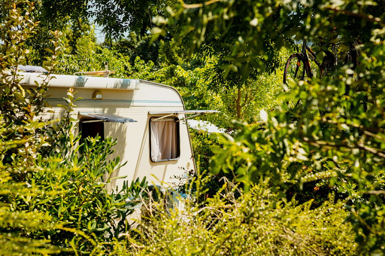 Camping à l Ombre des Oliviers à Cazilhac