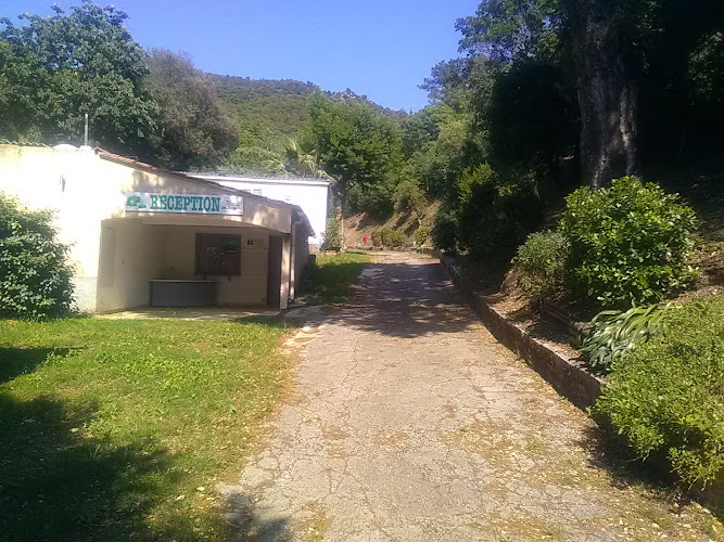 Camping Lei Suves à Le Lavandou
