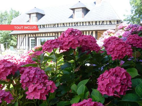 La Grange aux Hortensias à Manneville La Raoult