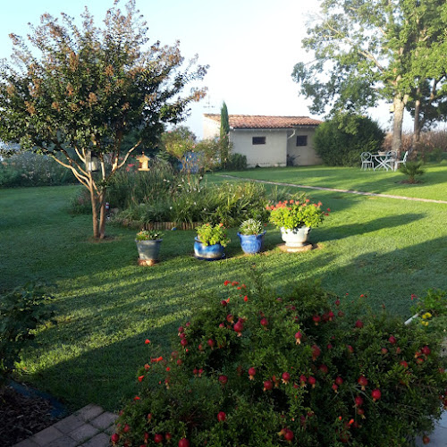 La Petite Pergue à Puylaurens