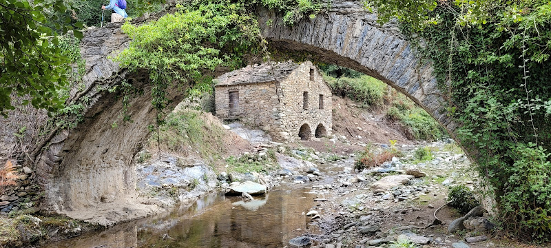 Carticasi à Carticasi