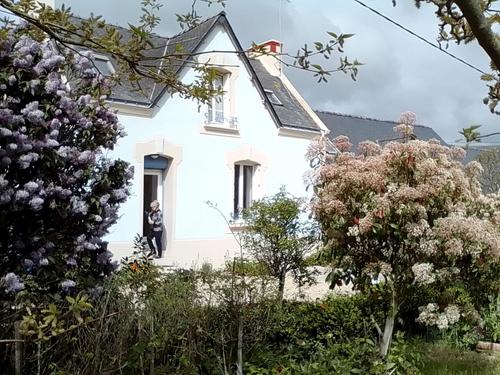 Les Hortensias à Merlevenez