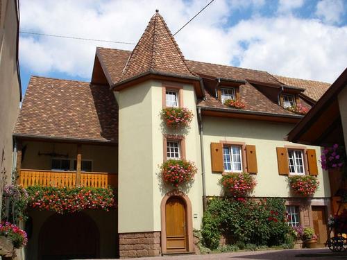 Gîte Zimmermann 3618 à Wuenheim