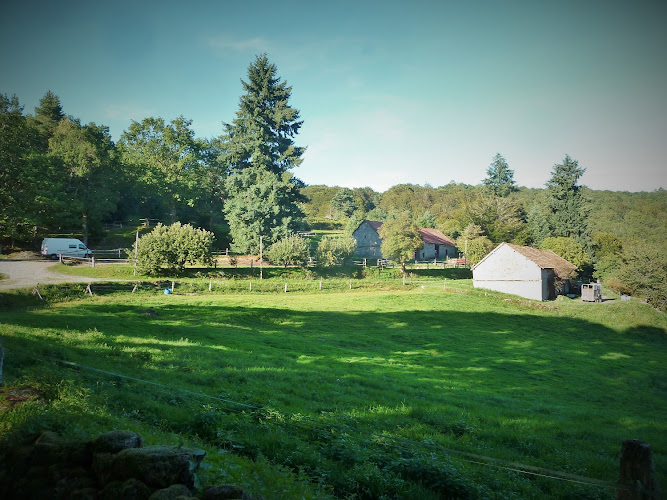 La ferme équestre de Tréphy à Chaumeil