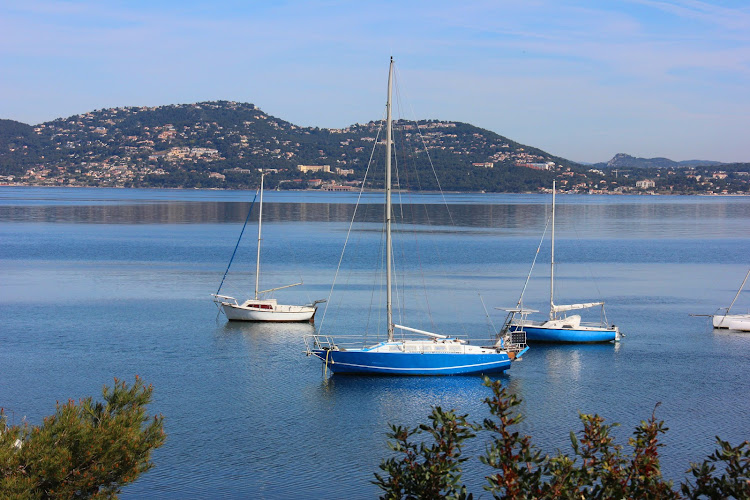 Camping Clair De Lune à Hyères