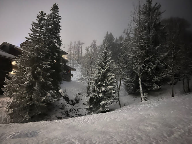 Résidence Le Ruisseau à Les Avanchers-Valmorel