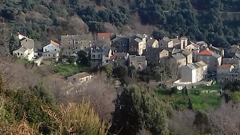 Talasani à Talasani