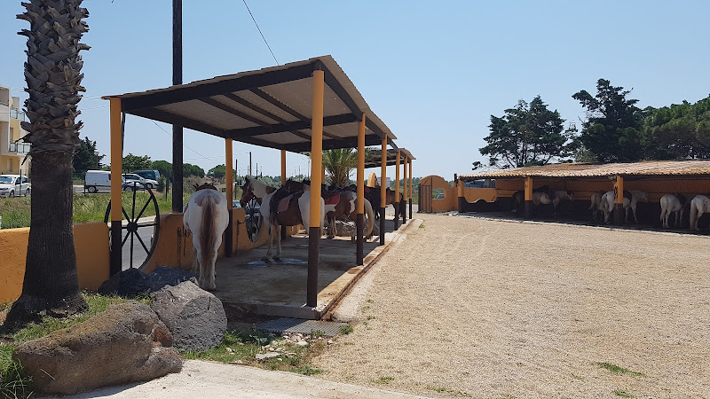 The Camargue Ranch à Marseillan