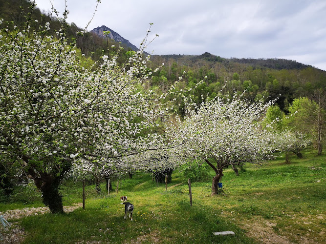 Camping La Pomarede à Serralongue