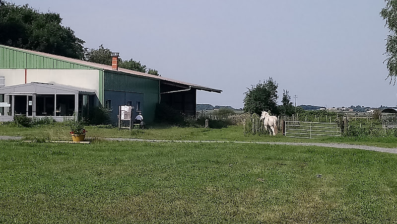 Natural camping at the farm Ilot