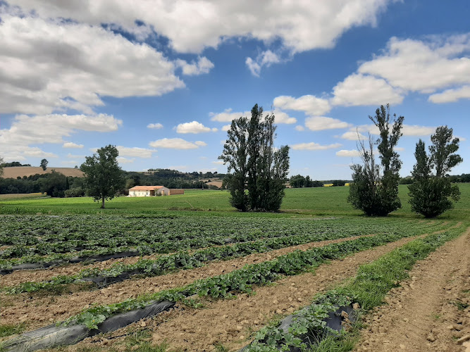 Jardins de Saint Sernin à Villenouvelle