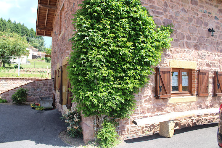 Les Cerisiers 42 à Sevelinges