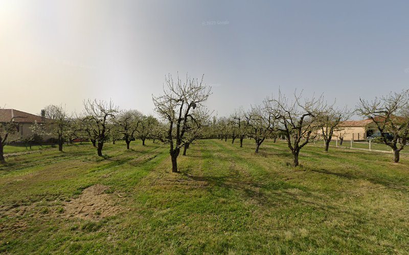 Domaine de la Côte Fleurie à Saint-Nexans