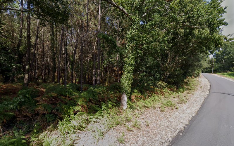 Le Col Vert à Seignosse
