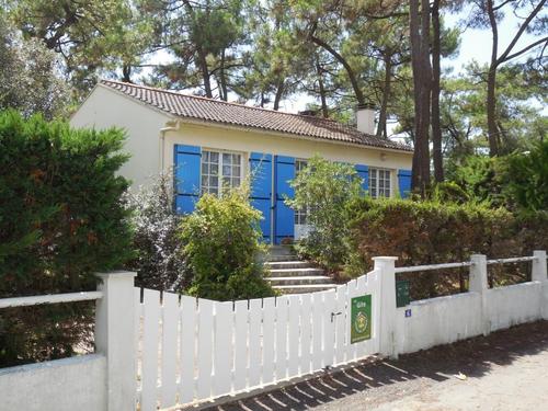 Les écureuils à La Tranche-sur-Mer