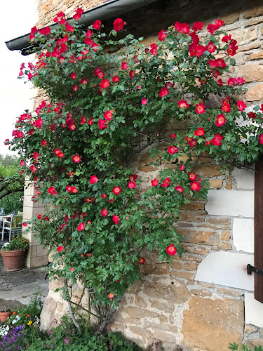 Cambes à Cambes