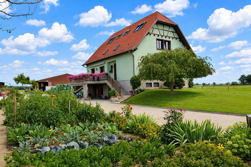 Gîte Ferme WILT à Dachstein