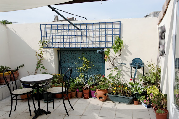 L Orchidée à Ginestas