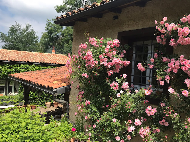 La lisette à Ris