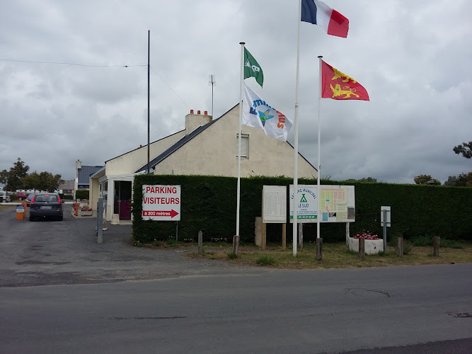 Camping du Sud à Hauteville-sur-Mer