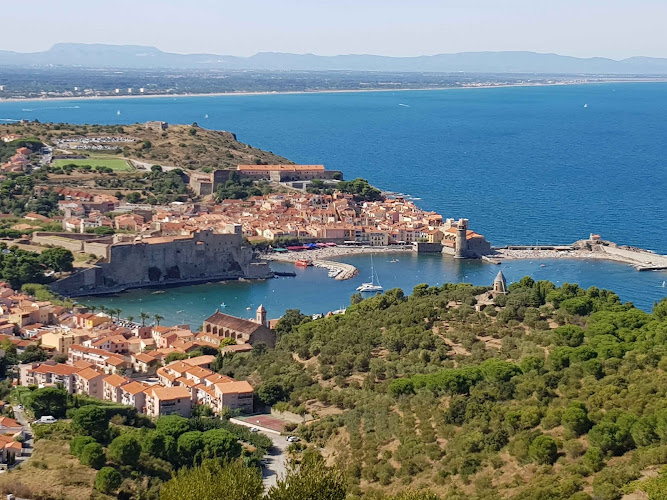 Smjlocations à Saint-Cyprien
