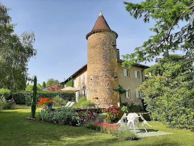 La Tour du Chateau de à Chaintré