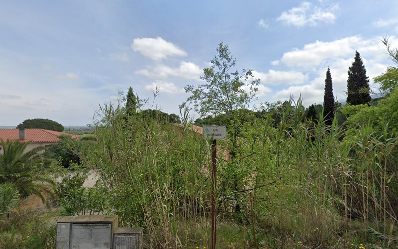 Domaine du Mas Rous à Montesquieu-des-Albères