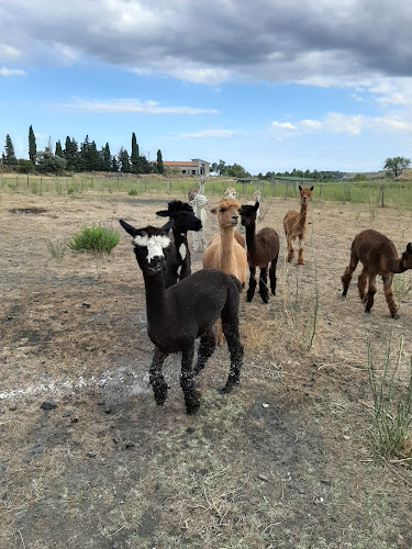 Les Myrs à Espira-de-l'Agly