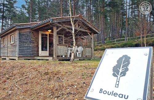 Bouleau à Usson En Forez