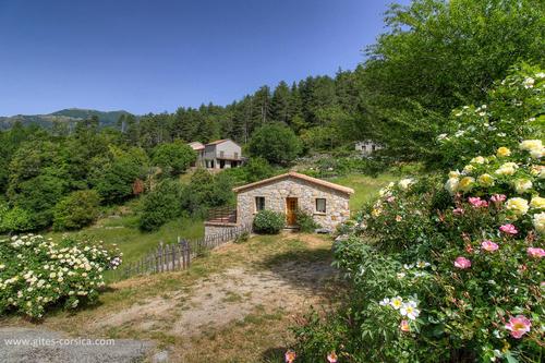 Le gîte du potier à PALNECA