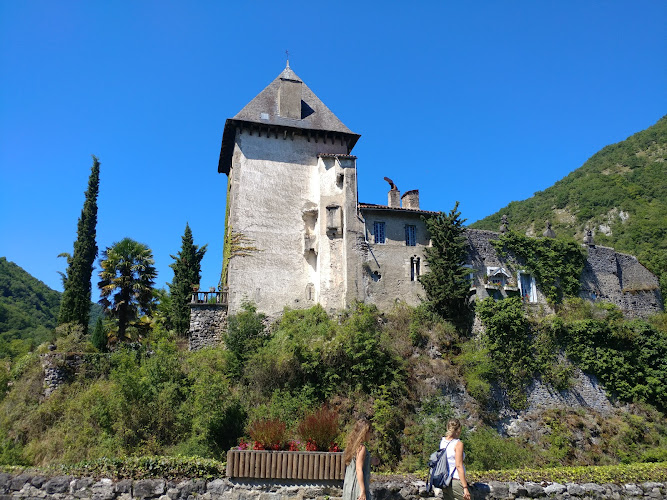 hôtel Restaurant Des Pyrenees à Mauléon-Barousse