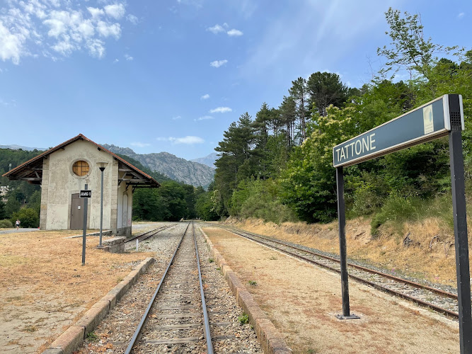Camping Le Soleil Tattone à Vivario