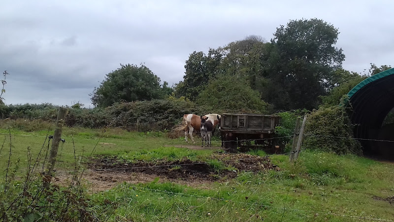 La Ferme des Galopins à Saint-Just
