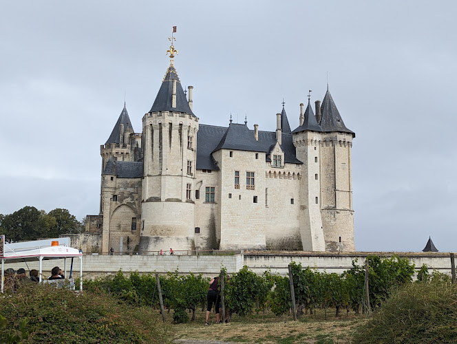 Camping Saumur à Varennes-sur-Loire